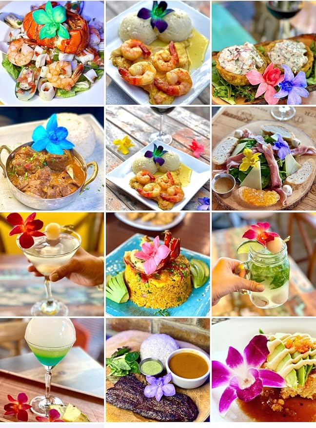 Miami Fresh Orchid Loose Bloom PERISHABLE flowers OrchidClub USA Sunne Tropical DIY lei, food & drink decoration (100 PURPLE)