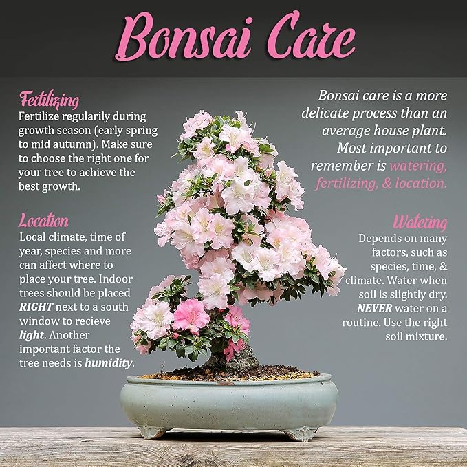 BambooMN Bonsai 8" Concave Cutter Tool - 3 Pieces