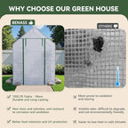 Greenhouse for Outdoors, Small Greenhouse, Walk-in Greenhouses with 3 Tiers 4 Shelves, PE Cover, Heavy Duty Plant Greenhouses for Garden and Backyard