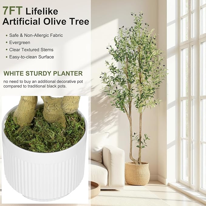 HZXGCP Olive Tree Olive 7 feet, Artificial Olive Tree with White Pot, Fake Tree with 1882 Dense Leaves & 96 High-Simulated Olive Fruits - Easy Assembly, Low Maintenance (Olive Tree 7ft)