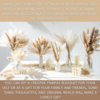 130PCS Natural Dried Pampas Grass Boho Home Decor Bouquet Phragmites Dried Flowers Bouquet for Wedding Floral Arrangements Living Room Decorations (130PCS)