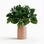 12 Inch Artificial Plant Indoor,Small Fake Plants Eucalyptus Stems With Vase,Faux Greenery In Pot For Farmhouse Home Decor,Bathroom Living Room Kitchen Office Coffee Table Centerpiece (Brown)