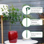 Invisible Plant Sticks 17 inch &11 inch SupKing 16Pcs Orchid Stakes with Clips for Support Small Short Plants,Garden Stake Support Pole Suit for Potted Plants Flowers Peony Rose (Green)