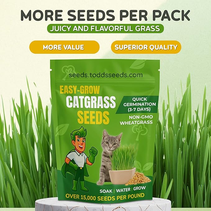 Todd's Seeds Cat Grass Seeds (1 Lb Bulk) | Premium Wheatgrass for Indoor Cats | Fast Growing Pet Grass in 5 Days | Non-GMO, Chemical Free, Hairball & Digestive Aid
