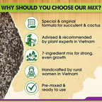 DUSPRO Succulents Soil Potting Mix – 7 in 1 Ingredients Well-Draining, Nutrient-Rich Cactus Potting Soil for Succulents and Cacti, Indoor & Outdoor Use, Ready to Use, Supports Healthy Root Growth, 8QT