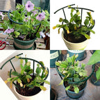 14Pcs Plant Support Stake Half Round Plant Support Ring Garden Flower Support for Tomato, Hydrangea, Indoor Plants, 6.3" Wide X 10.3" High