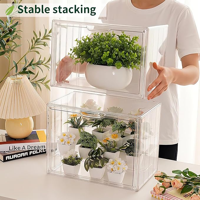 Clear Mini Greenhouse Indoor, 2 Pack Small Portable Tabletop Green House with Magnetic Door for Seed Starting, Plant Grow Warmer and Home Gardening Display
