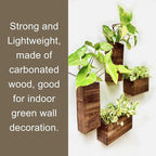 LaLaGreen Wood Planter Box for Plants (4 Pack) Wooden Hanging Wall Planters for Indoor Plant Holder Vase for Dried Flowers, Modern Living Room Bedroom Kitchen Home Office Decor