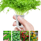 80Pcs Hydroponic Grow Sponges and 40Pcs Grow Baskets for Hydroponics Growing System，Ideal for NFT Systems，Seedling Starter Kit for Soilless Cultivation