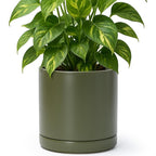 D'vine Dev 8.2 Inch Ceramic Planter Pot with Drainage Hole and Saucer, Indoor Cylinder Round Planter Pot, Olive, 94-O-D-J