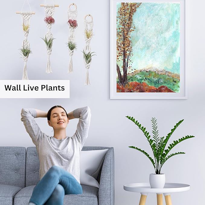 4 Pack Air Plants Holders, Wall Planters for Indoor Plants | Macrame Plant Hanger, Air Plant Hanger for Air Fern, Tillandsias, Live Houseplants & Succulent (NO Plant Included)