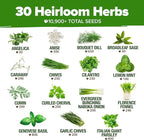HOME GROWN 30 Herb Seeds for Planting 10,900+ Non-GMO Heirloom Seeds | Extra Large Variety Pack Herb Kit – Indoor Outdoor & Hydroponic | Culinary Seed Set | Grow Your Own Herbs | Gardening Gift