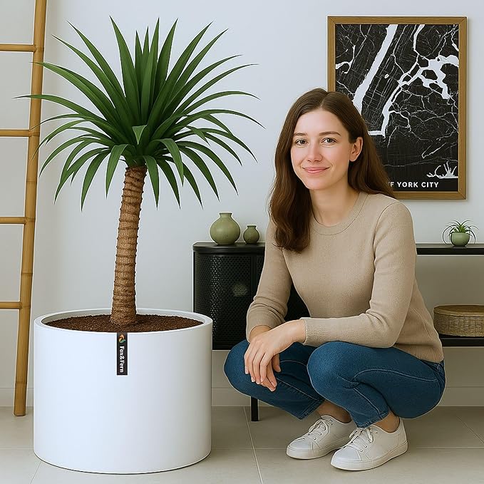 Fox & Fern Plant Pot, Large Plant Pots for Indoor & Outdoor, UV & Frost Resistant Plant Vase with Drainage Plug, Fiberstone, Large Indoor Pots for Plants & Flowers, House Indoor Plant Pot, Single Pot
