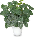 Oairse Artificial Fittonia Plants in White Pot - 15.7" Fake Nerve Plant Indoor Silk Faux Fittonia Plants Artificial Greenery Potted Small Faux Potted Plant for Office Desk Home Decor Shelf Bathroom