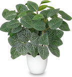 Oairse Artificial Fittonia Plants in White Pot - 15.7" Fake Nerve Plant Indoor Silk Faux Fittonia Plants Artificial Greenery Potted Small Faux Potted Plant for Office Desk Home Decor Shelf Bathroom