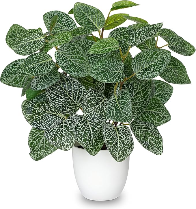Oairse Artificial Fittonia Plants in White Pot - 15.7" Fake Nerve Plant Indoor Silk Faux Fittonia Plants Artificial Greenery Potted Small Faux Potted Plant for Office Desk Home Decor Shelf Bathroom