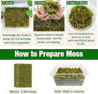 ZeeDix 3.3 lbs Forest Moss for Plants Indoor - Dried Orchid Moss for Repotting, Natural Green Sphagnum for Potted Plants Carnivorous Monstera Succulents Crafts Reptile Habitat (Expands to 60 qt)