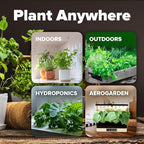 HOME GROWN 12 Fall Vegetable Seeds 9600+ Heirloom Non-GMO, High Germination, Cold Hardy Frost Tolerant Cool Season Garden, Beets, Kale, Cabbage, Peas, Broccoli, Lettuce, Onions (12 Varieties)