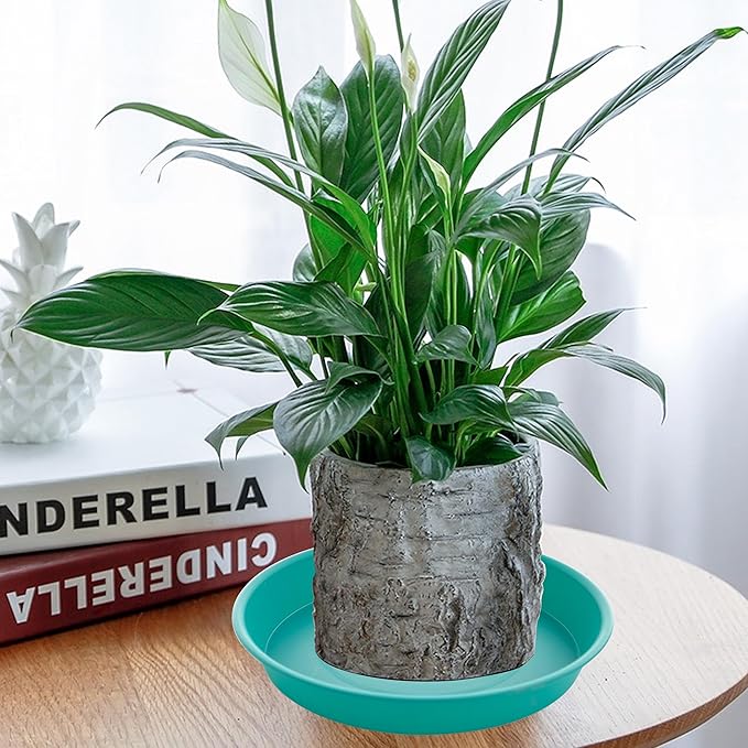 2 Pack of 8 inch Plant Saucer Clear, Heavy Duty Plastic Plant Water Tray 8 inch Round, Flower Plant Saucers for Indoors No Holes, Plant Dishes Saucer for Planter 7"/8" (8", Teal)
