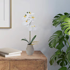 Mikasa Artificial Orchid in Pot, Real Touch Phalaenopsis Orchid, Embossed Weave Cement Pot, 16-Inch Single Branch, White/Yellow