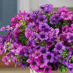 CEWOR 24 Bundles Artificial Flowers for Outdoor Indoor, Fake Silk Daisy with Eucalyptus Leaves, Faux Flower for Garden Front Door Porch Planter Patio Home Decor (Deep Purple Light Purple)