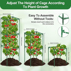Lezmarket 2 Pack Tomato Cages for Garden, Tomato Trellis for Raised Garden Bed with Plant Clips and Twist Ties for Climbing Plants, 43 inches ﻿ ﻿