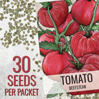 Seed Needs Tomato Seeds for Planting Indeterminate True Beefsteak Tomatoes - Non-GMO Heirloom & Untreated Vegetable Seed to Plant a Home Grown Outdoor Veggie Garden (5 Packs)