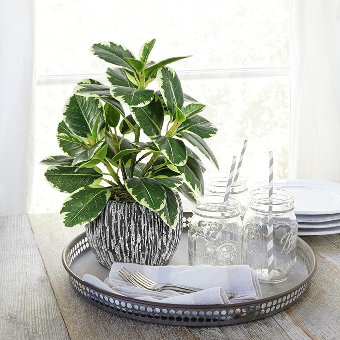 Artificial Plants Indoor Outdoor, Faux Variegated Oak Leaf Plant, Fake Potted Plants Artificial Decor for Coffee Table Desk Shelf, Faux Plants Indoor for Living Room Bathroom Bedroom Entryway Office