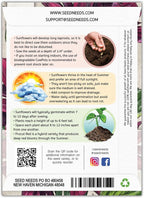 Seed Needs Procut Red Sunflower Seeds for Planting Burgundy Sunflowers - F1 Hybrid Flowers Great for Cutting in Bouquets & Floral Arrangements (5 Packs)