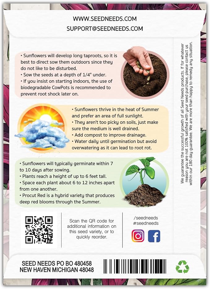 Seed Needs Procut Red Sunflower Seeds for Planting Burgundy Sunflowers - F1 Hybrid Flowers Great for Cutting in Bouquets & Floral Arrangements (5 Packs)