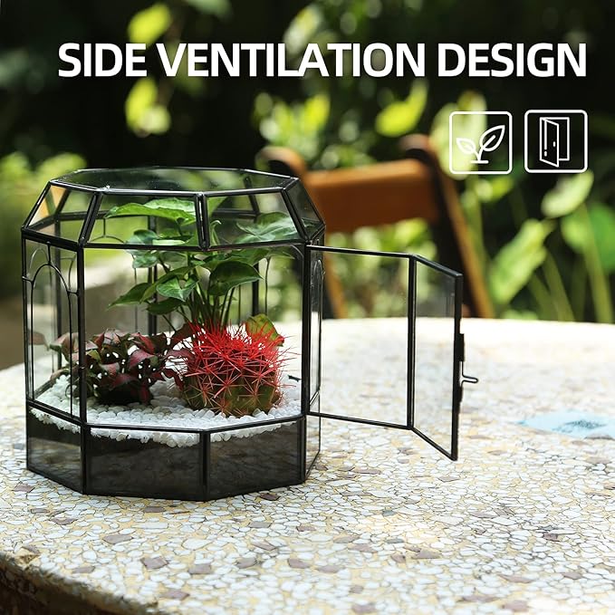 REDHUGO Large Glass Terrarium Handmade, Centerpiece Display Box Gift Planter Containers Indoor Terrariums House for Succulent Cacti Air Plants Miniature Fairy Garden
