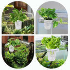 2PCS Upgraded Large Aquarium Plant Holder with 1.57" Extension Hooks and Suction Cups, Aquatic Plant Holder for Fish Tank Aquaponic Plants Cultivation and Aquascape Accessories (White)