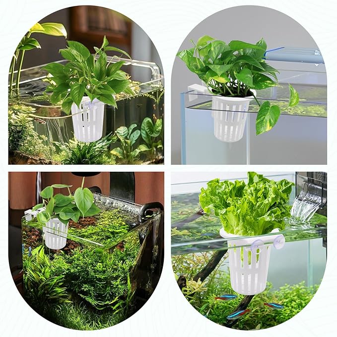 2PCS Upgraded Large Aquarium Plant Holder with 1.57" Extension Hooks and Suction Cups, Aquatic Plant Holder for Fish Tank Aquaponic Plants Cultivation and Aquascape Accessories (White)