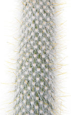 Cactus Outlet - Cactus Plants Live, Live Plants Outdoor & IndoorUse, Live Cactus, Silver Torch