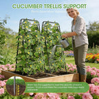 Heavy Duty Cucumber Trellis，50"x17" Adjustable A-Frame Trellis for Climbing Plants ，Metal mesh Design, Rust-Proof and UV-Resistant，Garden Trellis for Cucumber Beans and Vine Type Plants. Black &1Pcs