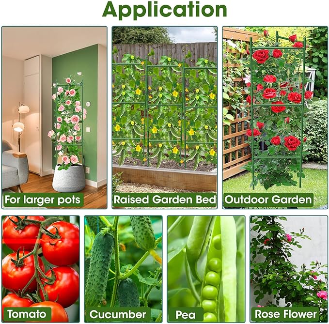 6 Pack Tomato Cage,Tomato Cage for Raised Garden Bed, 48'' Tall Tomato TrellisTriangle or Square Cages for Garden,Pots, Plant Cages & Supports（Green, Extra Bold ）