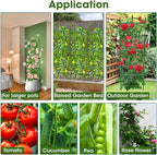 6 Pack Tomato Cage,Tomato Cage for Raised Garden Bed, 48'' Tall Tomato TrellisTriangle or Square Cages for Garden,Pots, Plant Cages & Supports（Green, Extra Bold ）