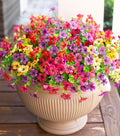HyeFlora Artificial Flowers for Outdoor Indoor Garden Home Decoration, Faux Flower Daisy with Eucalyptus Leaves Fake Plants Greenery Boxwood Porch Patio, 12 Bundles (Mix Pink Red Purple Yellow)