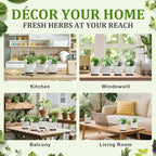 10-Set Indoor Herb Garden Starter Kit, 7 Seeds Growing into Basil, Parsley, Thyme, Mint, Cilantro, Dill, Oregano Including 10 White Pots, Markers, Nutritional Soil, Ideal Christmas Gifts for Women