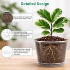 Bluepro 8 Packs 8 Inch Reinforced Large Clear Nursery Pots with Saucers, Transparent Plastic Plant Pot Seedling Planter with Drainage Holes for Vegetable Propagation, Root Cutting, Seed Starting