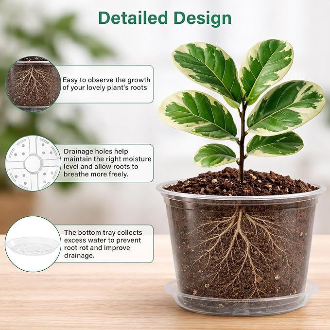 Bluepro 12 Pack 10/8/6/5 Inch Reinforced Large Clear Nursery Pots with Saucers, Transparent Variety Pack Plastic Plant Pot with Drainage Holes for Vegetable Propagation, Root Cutting, Seed Starting