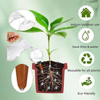 2 Pack Self Watering Globes for Indoor & Outdoor Plants – 17oz Automatic Water Bulbs for Indoor Plants–Slow Release Control Water Dripper for Plants – Plant Watering Devices While Away