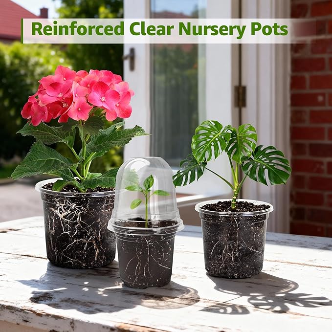 MIXC Clear Nursery Pots with Humidity Domes, 5/4/3.5 Inch Reinforced Transparent Plastic Pots for Planting with Drainage Holes for Seedlings, 30 Pack