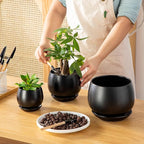 vancasso 3-Pack Ceramic Plant Pots, 3.7/4.8/6.2 Inch Indoor Planters with Saucers & Drainage Hole Planter pots for Indoor Plants and Flower, Black