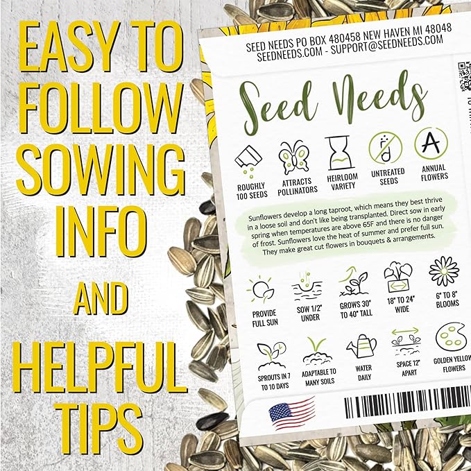 Seed Needs Dwarf Sunflower Seeds for Planting Incredible Sunflowers - Heirloom & Open Pollinated Flowers to Plant an Outdoor Wildflower Garden to Attract Beneficial Pollinators (1 Pack)