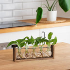 YIBOT Wall Hanging Glass Planter Plant Propagation Vase for Indoor Home Office Living Room Decor Gifts, Plant Terrarium with Wooden Stand-5 Bulb Glass Vases