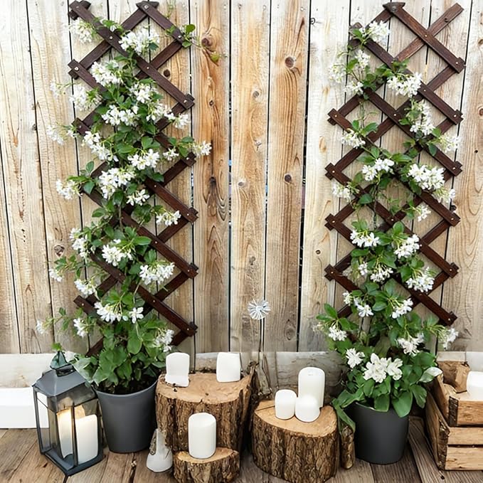 2 Pcs Expandable Garden Trellis, 13" x 68" Thickened Wooden Lattice Trellis for Climbing Plants Outdoor Ivy Vine Rose Clematis for Garden Fence Wall Patio Room Decor (2)
