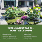 Lotus Fertilizer – Fish Safe Liquid Plant Food for Bigger Lotus Blooms & Stronger Roots 32 oz