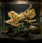 M2cbridge Fish Tank Plastic Soft Grass Artificial Betta Water Plants Decoration Goldfish Hide 2pcs (Light Yellow)
