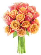 KaBloom - Bouquet of 18 Fresh Orange Roses (Farm-Fresh, Long-Stem) - Fresh Flowers for Birthday, Valentine's & Mother's Day